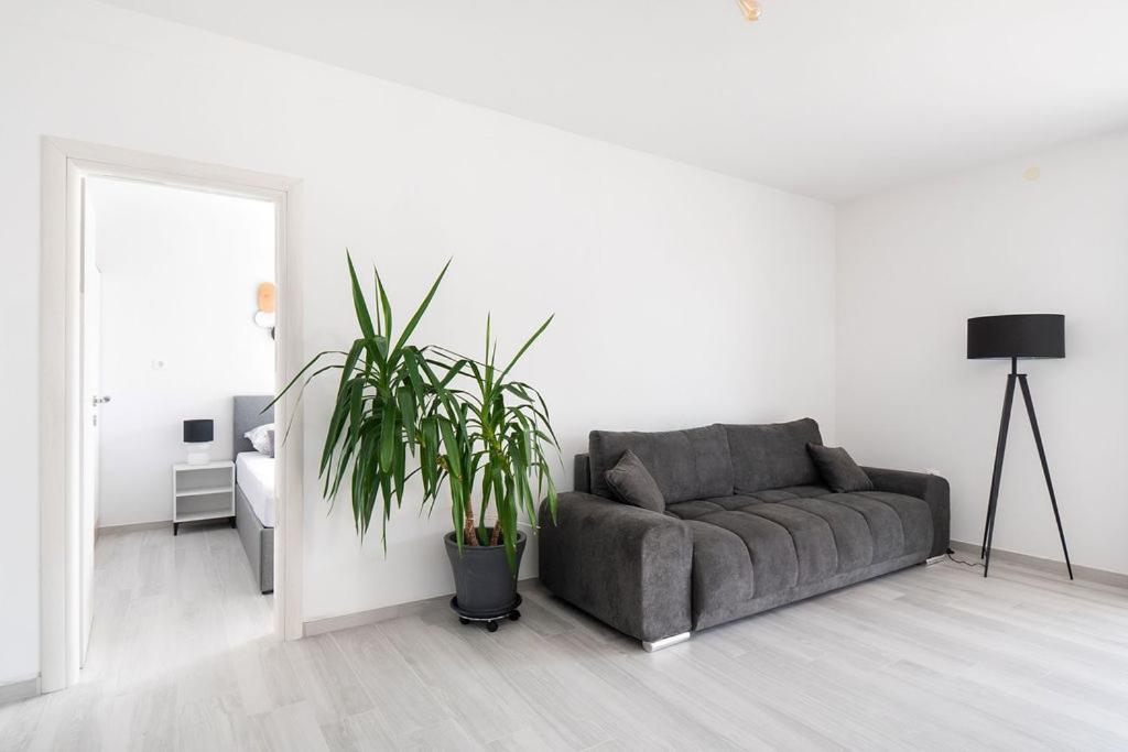 Apartments Grubisic - Sibenik - Parking Included Dış mekan fotoğraf