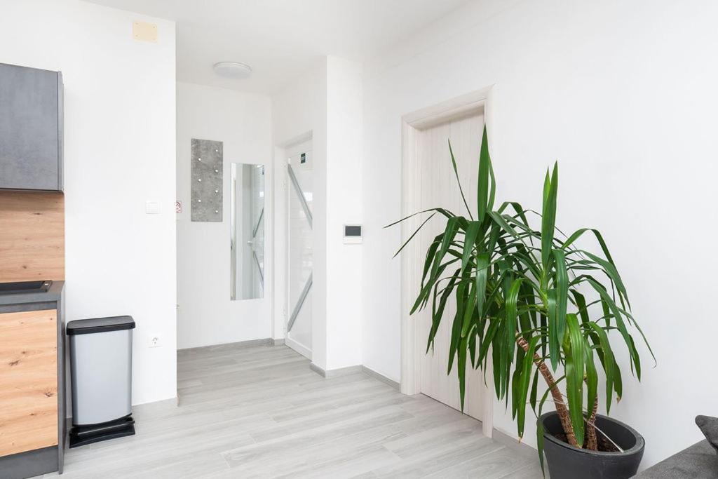 Apartments Grubisic - Sibenik - Parking Included Dış mekan fotoğraf